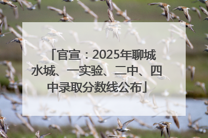 官宣：2025年聊城水城、一实验、二中、四中录取分数线公布