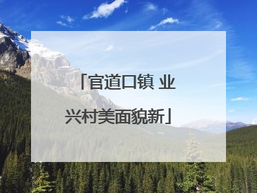 官道口镇 业兴村美面貌新