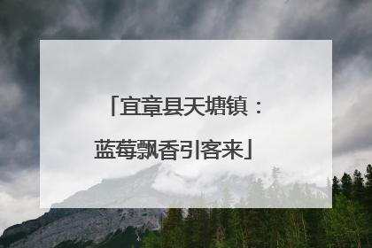 宜章县天塘镇：蓝莓飘香引客来