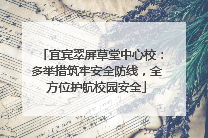 宜宾翠屏草堂中心校：多举措筑牢安全防线，全方位护航校园安全