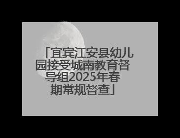 宜宾江安县幼儿园接受城南教育督导组2025年春期常规督查