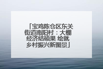 宝鸡陈仓区东关街道南阳村：大棚经济结硕果 绘就乡村振兴新图景