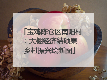 宝鸡陈仓区南阳村：大棚经济结硕果 乡村振兴绘新图