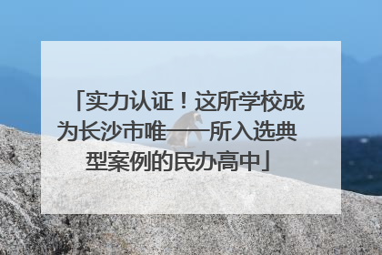 实力认证！这所学校成为长沙市唯一一所入选典型案例的民办高中