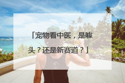 宠物看中医，是噱头？还是新赛道？
