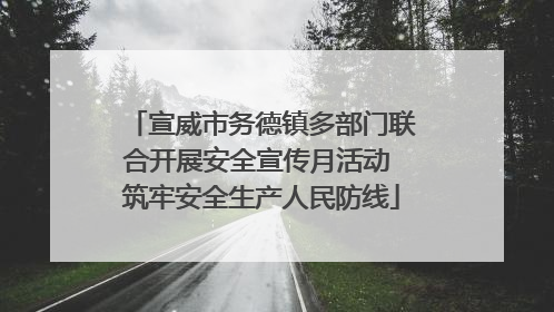 宣威市务德镇多部门联合开展安全宣传月活动 筑牢安全生产人民防线