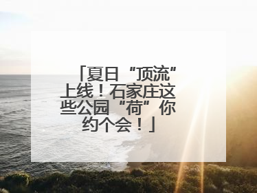 夏日“顶流”上线！石家庄这些公园“荷”你约个会！
