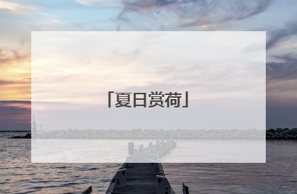 夏日赏荷