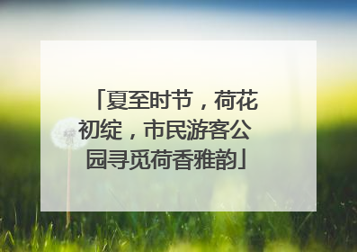 夏至时节，荷花初绽，市民游客公园寻觅荷香雅韵