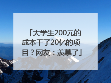 大学生200元的成本干了20亿的项目？网友：羡慕了