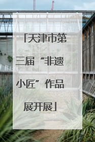 天津市第三届“非遗小匠”作品展开展