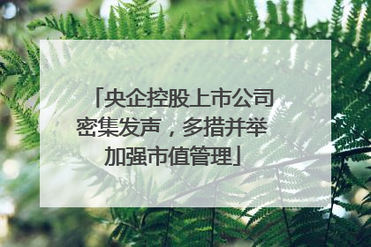央企控股上市公司密集发声，多措并举加强市值管理