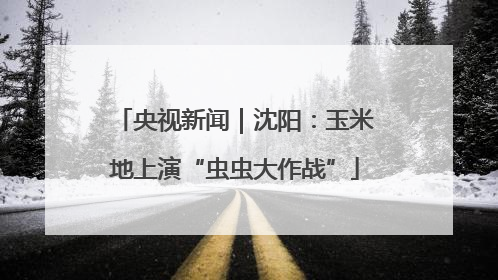 央视新闻｜沈阳：玉米地上演“虫虫大作战”