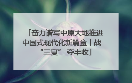 奋力谱写中原大地推进中国式现代化新篇章丨战“三夏” 夺丰收