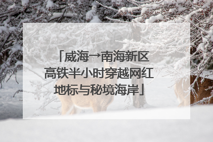 威海→南海新区 高铁半小时穿越网红地标与秘境海岸