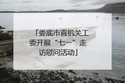 娄底市直机关工委开展“七一”走访慰问活动
