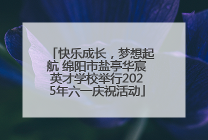 快乐成长，梦想起航 绵阳市盐亭华宸英才学校举行2025年六一庆祝活动