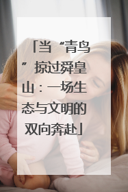 当“青鸟”掠过舜皇山：一场生态与文明的双向奔赴