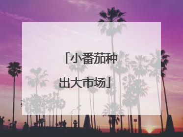 小番茄种出大市场