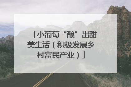 小葡萄“酿”出甜美生活（积极发展乡村富民产业）