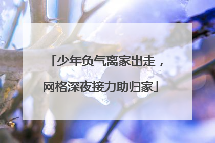 少年负气离家出走，网格深夜接力助归家