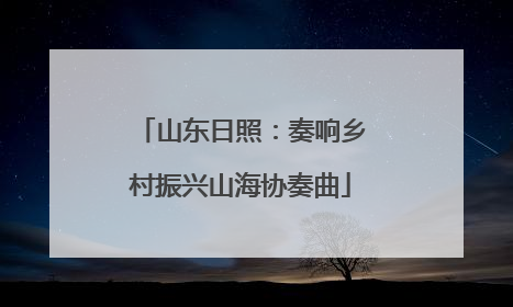 山东日照：奏响乡村振兴山海协奏曲