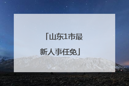 山东1市最新人事任免