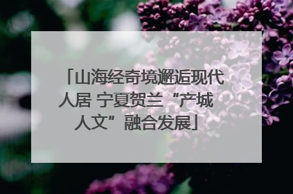 山海经奇境邂逅现代人居 宁夏贺兰“产城人文”融合发展