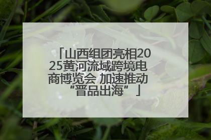 山西组团亮相2025黄河流域跨境电商博览会 加速推动“晋品出海”