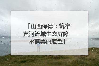 山西保德：筑牢黄河流域生态屏障 永葆美丽底色