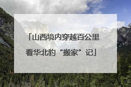 山西境内穿越百公里 看华北豹“搬家”记
