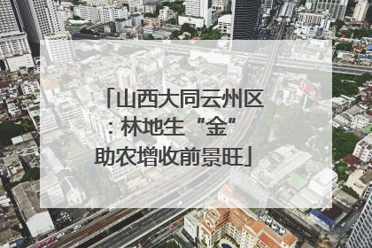 山西大同云州区：林地生“金” 助农增收前景旺