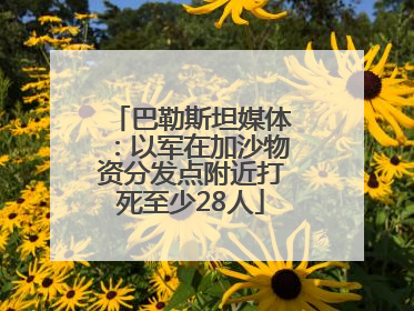 巴勒斯坦媒体：以军在加沙物资分发点附近打死至少28人