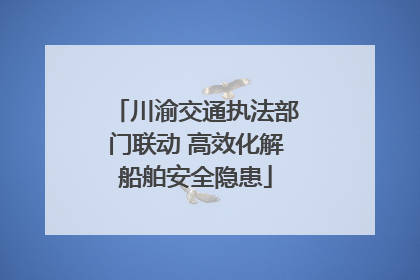 川渝交通执法部门联动 高效化解船舶安全隐患
