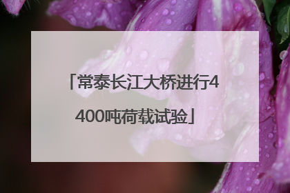 常泰长江大桥进行4400吨荷载试验
