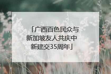 广西百色民众与新加坡友人共庆中新建交35周年