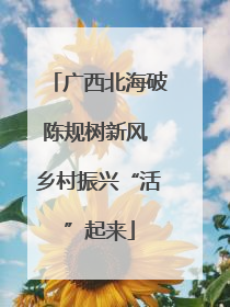 广西北海破陈规树新风 乡村振兴“活”起来