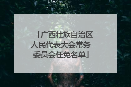 广西壮族自治区人民代表大会常务委员会任免名单