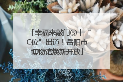 幸福来敲门⑤丨“C位”出道！岳阳市博物馆焕新开放