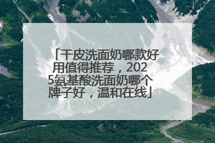 干皮洗面奶哪款好用值得推荐，2025氨基酸洗面奶哪个牌子好，温和在线