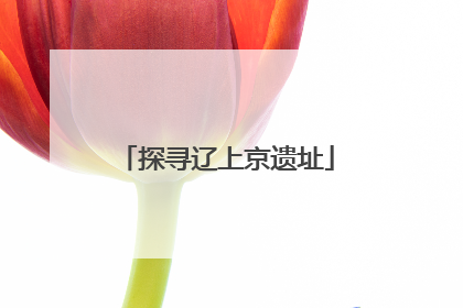 探寻辽上京遗址