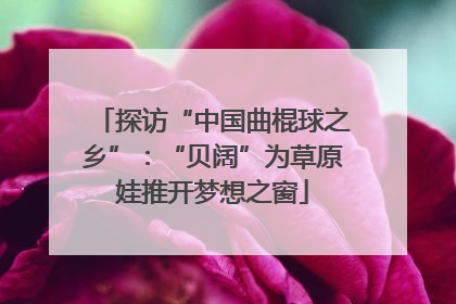 探访“中国曲棍球之乡”：“贝阔”为草原娃推开梦想之窗