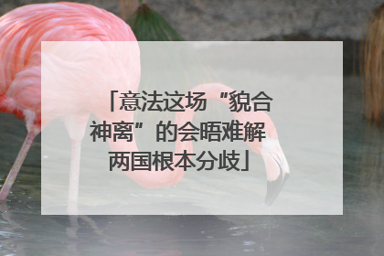 意法这场“貌合神离”的会晤难解两国根本分歧