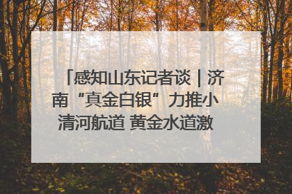 感知山东记者谈｜济南“真金白银”力推小清河航道 黄金水道激活区域经济新动能
