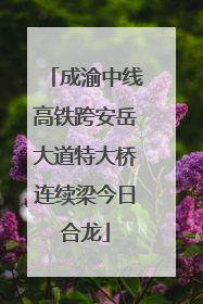 成渝中线高铁跨安岳大道特大桥连续梁今日合龙