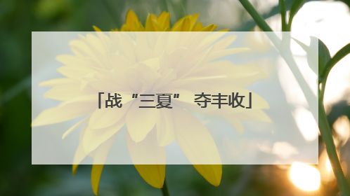 战“三夏” 夺丰收