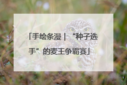 手绘条漫｜“种子选手”的麦王争霸赛