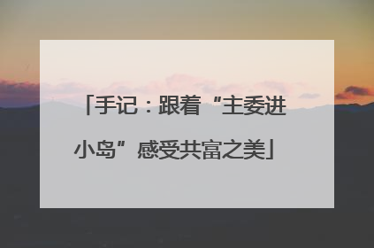 手记：跟着“主委进小岛”感受共富之美