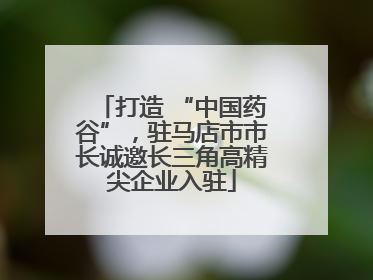 打造 “中国药谷”，驻马店市市长诚邀长三角高精尖企业入驻