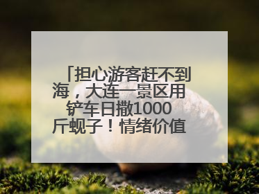 担心游客赶不到海，大连一景区用铲车日撒1000斤蚬子！情绪价值拉满！